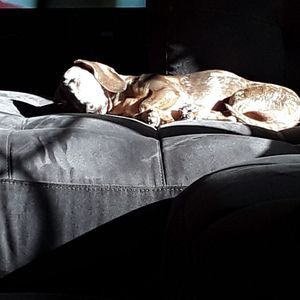 Meet your Posher, Chris